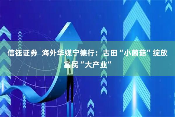 信钰证券  海外华媒宁德行：古田“小菌菇”绽放富民“大产业”