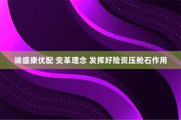 端盛康优配 变革理念 发挥好险资压舱石作用
