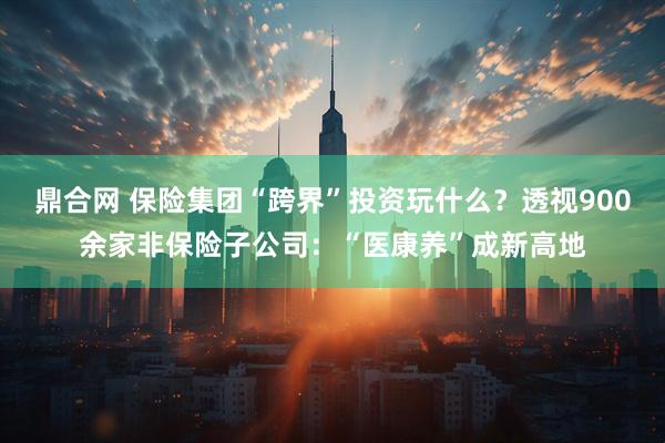 鼎合网 保险集团“跨界”投资玩什么？透视900余家非保险子公司：“医康养”成新高地