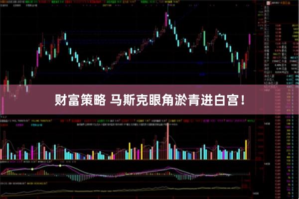 财富策略 马斯克眼角淤青进白宫！