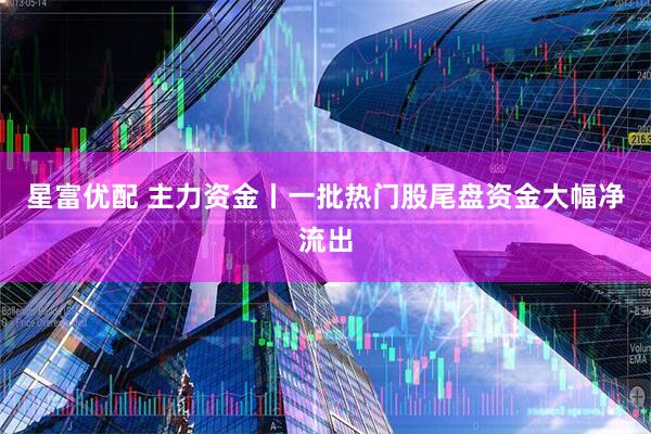 星富优配 主力资金丨一批热门股尾盘资金大幅净流出