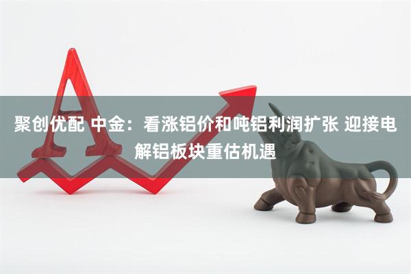 聚创优配 中金：看涨铝价和吨铝利润扩张 迎接电解铝板块重估机遇