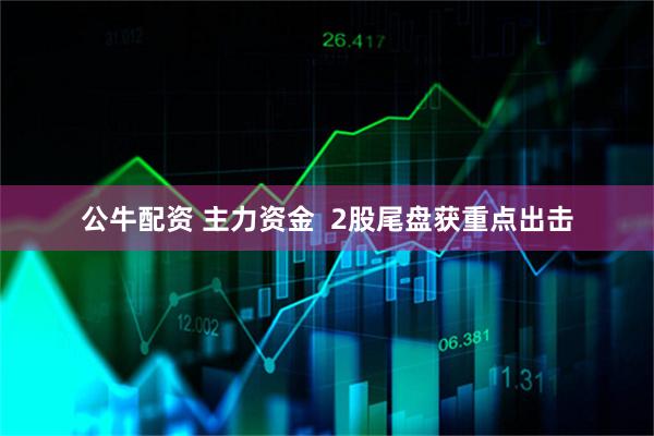 公牛配资 主力资金  2股尾盘获重点出击