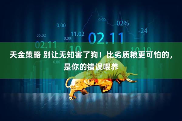 天金策略 别让无知害了狗!比劣质粮更可怕的,是你的错误喂养